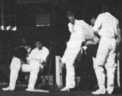 cricket picture 1