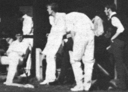 cricket picture 2