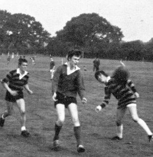 rugby picture 2