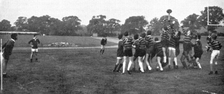 rugby picture 3