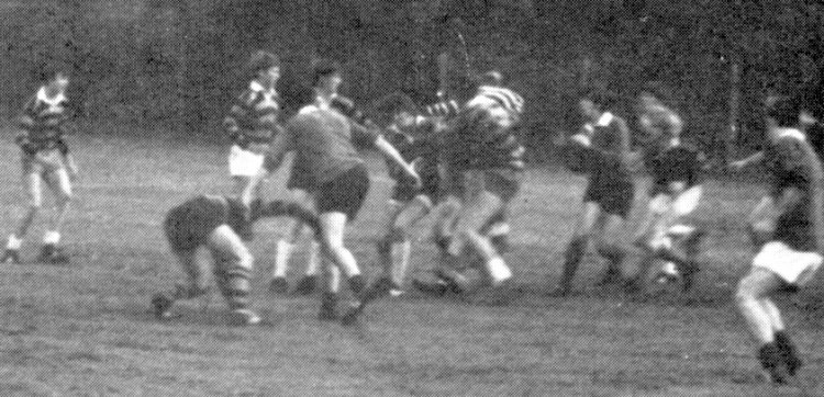 rugby picture 4