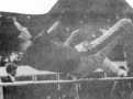 boy jumping
