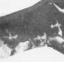 four boys