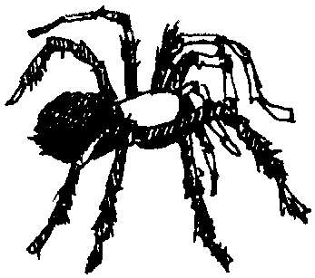 Spider